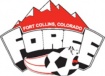 Force Soccer